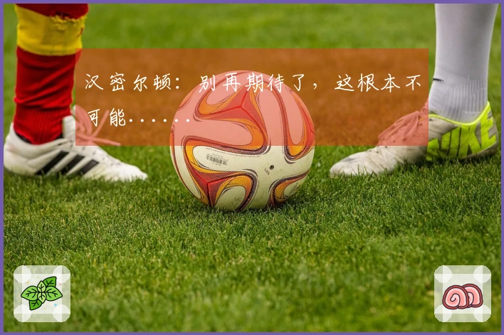 汉密尔顿：别再期待了，这根本不可能......